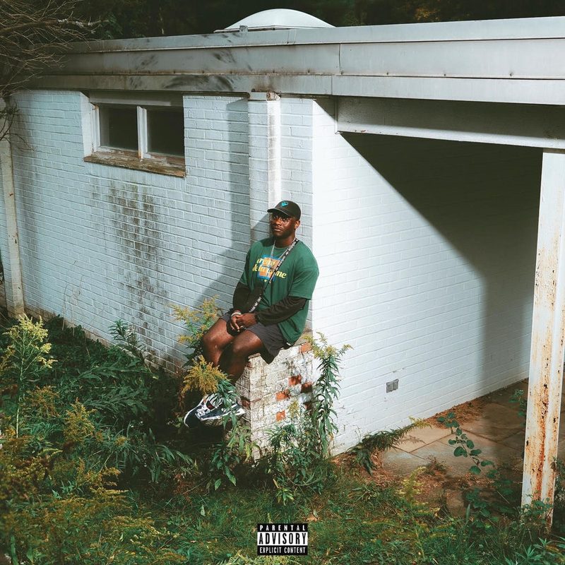 some don't make it here.. cover art