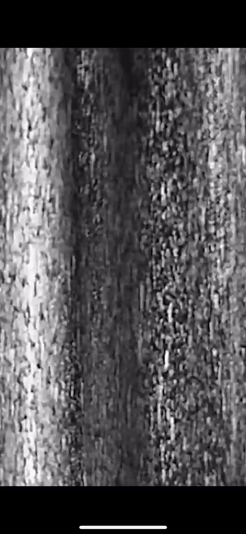 It Could Be Mine video still